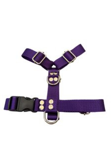 pretal h liso violeta