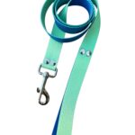 correa sublimada degrade verde