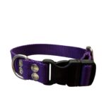 collar regulable liso violeta