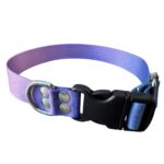 collar regulable sublimado degrade violeta