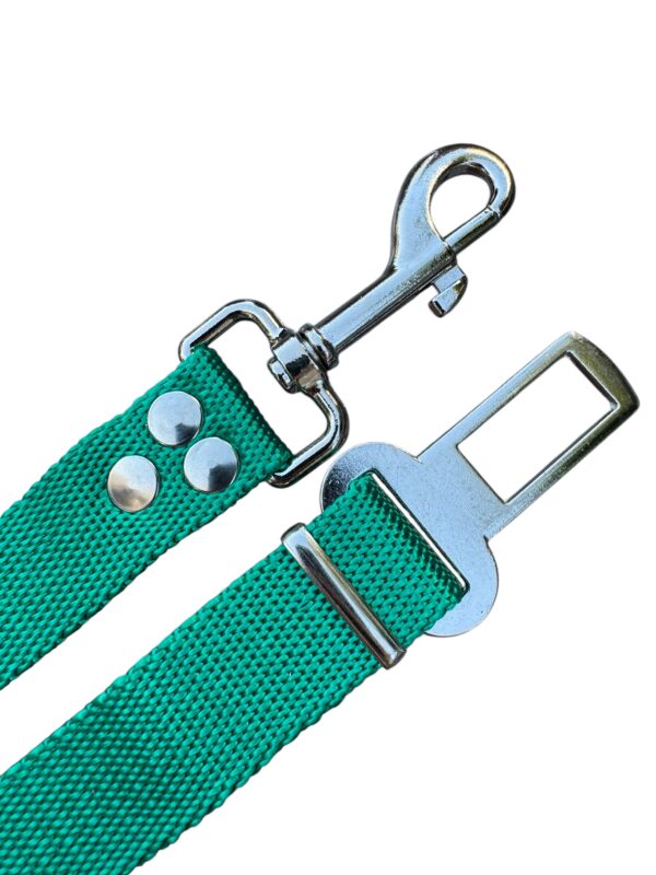 Cinturon de seguridad verde