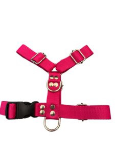 pretal h liso fucsia