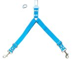 cinturon de seguridad doble celeste