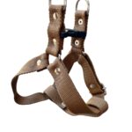 pretal liso regulable marron