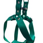 pretal liso regulable verde