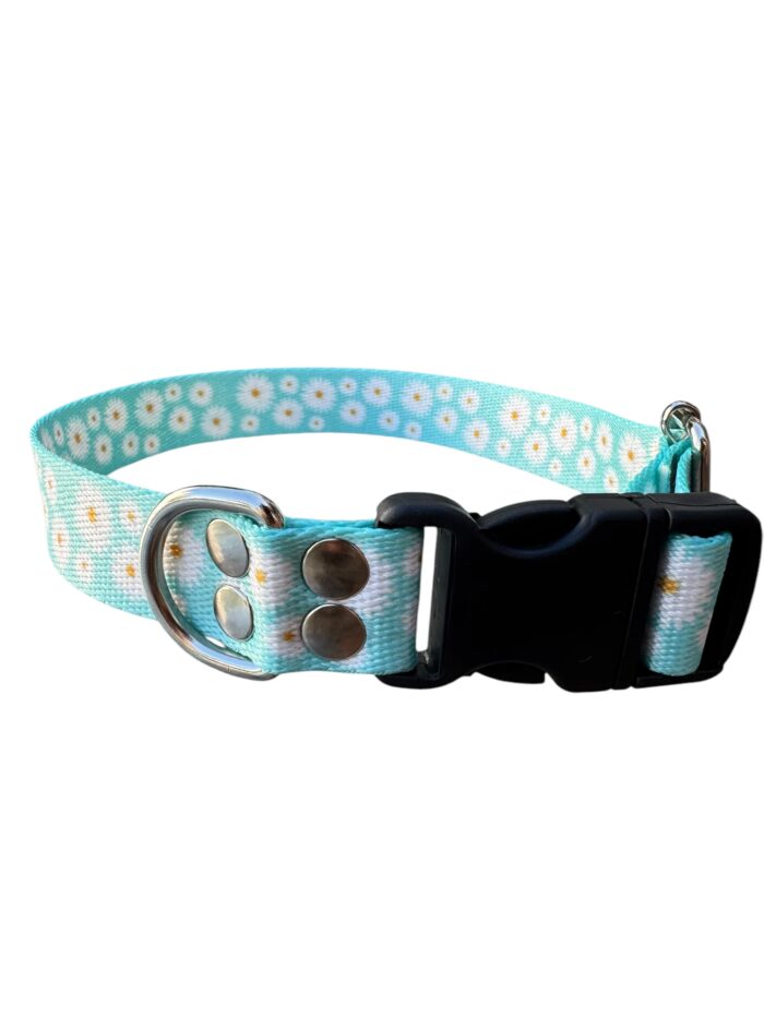 Collar para perros, collar de mascotas, collar con dibujo, collar regulable