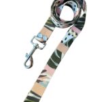 correa sublimada naturaleza