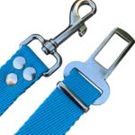 cinturon de seguridad celeste