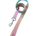 correa sublimada degrade