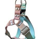 pretal sublimado y degrade pastel