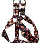 pretal sublimado y papas fritas