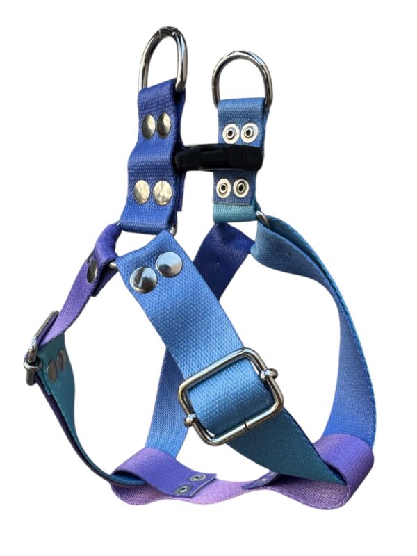 pretal y degrade violeta