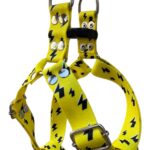 pretal sublimado y rayos