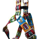 pretal sublimado y historieta