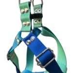 pretal sublimado y degrade azul