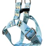 pretal sublimado y dino celeste