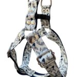 pretal sublimado y pez