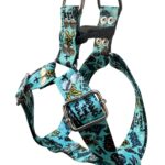 pretal sublimado y grafitti celeste