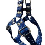 pretal sublimado y libelula