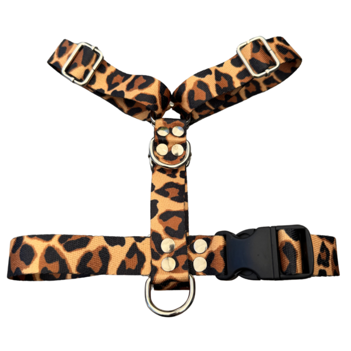 pretal para perros, pechera para perros, pretal para mascotas, pechera para mascotas, accesorio de paseo, accesorio de paseo para perros, pretal para perro seguro, pretal para perro regulable