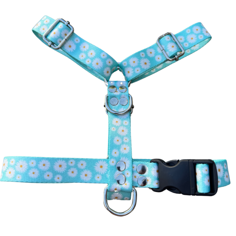 pretal para perros, pechera para perros, pretal para mascotas, pechera para mascotas, accesorio de paseo, accesorio de paseo para perros, pretal para perro seguro, pretal para perro regulable