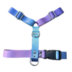 Pretal Sublimado H Flores Optimiza la seguridad y comodidad de las mascotas con nuestro Pretal H Sublimado. Este pretal de alta calidad es completamente ajustable en el cuello, pecho y abdomen, permitiendo un ajuste personalizado para cualquier tamaño de mascota, lo que lo convierte en un producto ideal para tiendas y distribuidores. Características destacadas: Ajuste personalizable: Regulable en cuello, pecho y abdomen para adaptarse a diferentes tamaños de mascotas. Material de alta resistencia: Confeccionado con cintas reforzadas de polipropileno sublimado. Herrajes reforzados: Garantiza durabilidad y seguridad. Distribución equilibrada de la presión: Evita incomodidades, asegurando un uso prolongado y cómodo para las mascotas. Este producto es perfecto para ofrecer en tu inventario, ya que combina resistencia, comodidad y seguridad, ideal para tiendas de accesorios para mascotas, distribuidores y comercios en busca de artículos confiables para sus clientes. Beneficios para mayoristas: Alta demanda: Producto versátil que se adapta a diferentes tipos de mascotas. Durabilidad: Materiales resistentes, garantizando una vida útil prolongada. Adaptabilidad: Ajuste preciso para una gran variedad de tamaños y razas de mascotas.Somos fabricantes de accesorios para mascotas, realiza tu compra mayorista y recibi tu pedido en cualquier parte del pais