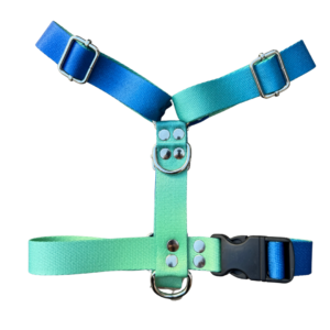 Pretal Sublimado H Flores Optimiza la seguridad y comodidad de las mascotas con nuestro Pretal H Sublimado. Este pretal de alta calidad es completamente ajustable en el cuello, pecho y abdomen, permitiendo un ajuste personalizado para cualquier tamaño de mascota, lo que lo convierte en un producto ideal para tiendas y distribuidores. Características destacadas: Ajuste personalizable: Regulable en cuello, pecho y abdomen para adaptarse a diferentes tamaños de mascotas. Material de alta resistencia: Confeccionado con cintas reforzadas de polipropileno sublimado. Herrajes reforzados: Garantiza durabilidad y seguridad. Distribución equilibrada de la presión: Evita incomodidades, asegurando un uso prolongado y cómodo para las mascotas. Este producto es perfecto para ofrecer en tu inventario, ya que combina resistencia, comodidad y seguridad, ideal para tiendas de accesorios para mascotas, distribuidores y comercios en busca de artículos confiables para sus clientes. Beneficios para mayoristas: Alta demanda: Producto versátil que se adapta a diferentes tipos de mascotas. Durabilidad: Materiales resistentes, garantizando una vida útil prolongada. Adaptabilidad: Ajuste preciso para una gran variedad de tamaños y razas de mascotas.Somos fabricantes de accesorios para mascotas, realiza tu compra mayorista y recibi tu pedido en cualquier parte del pais