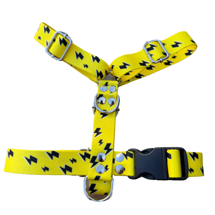 pretal para perros, pechera para perros, pretal para mascotas, pechera para mascotas, accesorio de paseo, accesorio de paseo para perros, pretal para perro seguro, pretal para perro regulable