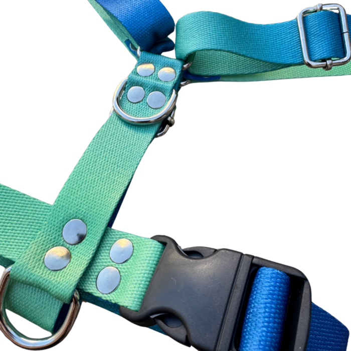 Pretal Sublimado H Flores Optimiza la seguridad y comodidad de las mascotas con nuestro Pretal H Sublimado. Este pretal de alta calidad es completamente ajustable en el cuello, pecho y abdomen, permitiendo un ajuste personalizado para cualquier tamaño de mascota, lo que lo convierte en un producto ideal para tiendas y distribuidores. Características destacadas: Ajuste personalizable: Regulable en cuello, pecho y abdomen para adaptarse a diferentes tamaños de mascotas. Material de alta resistencia: Confeccionado con cintas reforzadas de polipropileno sublimado. Herrajes reforzados: Garantiza durabilidad y seguridad. Distribución equilibrada de la presión: Evita incomodidades, asegurando un uso prolongado y cómodo para las mascotas. Este producto es perfecto para ofrecer en tu inventario, ya que combina resistencia, comodidad y seguridad, ideal para tiendas de accesorios para mascotas, distribuidores y comercios en busca de artículos confiables para sus clientes. Beneficios para mayoristas: Alta demanda: Producto versátil que se adapta a diferentes tipos de mascotas. Durabilidad: Materiales resistentes, garantizando una vida útil prolongada. Adaptabilidad: Ajuste preciso para una gran variedad de tamaños y razas de mascotas.Somos fabricantes de accesorios para mascotas, realiza tu compra mayorista y recibi tu pedido en cualquier parte del pais