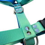 Pretal Sublimado H Flores Optimiza la seguridad y comodidad de las mascotas con nuestro Pretal H Sublimado. Este pretal de alta calidad es completamente ajustable en el cuello, pecho y abdomen, permitiendo un ajuste personalizado para cualquier tamaño de mascota, lo que lo convierte en un producto ideal para tiendas y distribuidores. Características destacadas: Ajuste personalizable: Regulable en cuello, pecho y abdomen para adaptarse a diferentes tamaños de mascotas. Material de alta resistencia: Confeccionado con cintas reforzadas de polipropileno sublimado. Herrajes reforzados: Garantiza durabilidad y seguridad. Distribución equilibrada de la presión: Evita incomodidades, asegurando un uso prolongado y cómodo para las mascotas. Este producto es perfecto para ofrecer en tu inventario, ya que combina resistencia, comodidad y seguridad, ideal para tiendas de accesorios para mascotas, distribuidores y comercios en busca de artículos confiables para sus clientes. Beneficios para mayoristas: Alta demanda: Producto versátil que se adapta a diferentes tipos de mascotas. Durabilidad: Materiales resistentes, garantizando una vida útil prolongada. Adaptabilidad: Ajuste preciso para una gran variedad de tamaños y razas de mascotas.Somos fabricantes de accesorios para mascotas, realiza tu compra mayorista y recibi tu pedido en cualquier parte del pais