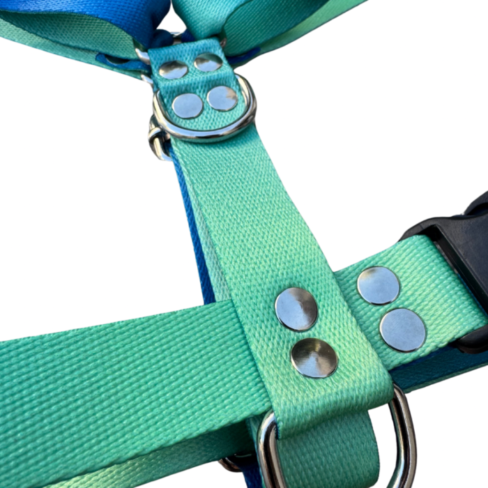 Pretal Sublimado H Flores Optimiza la seguridad y comodidad de las mascotas con nuestro Pretal H Sublimado. Este pretal de alta calidad es completamente ajustable en el cuello, pecho y abdomen, permitiendo un ajuste personalizado para cualquier tamaño de mascota, lo que lo convierte en un producto ideal para tiendas y distribuidores. Características destacadas: Ajuste personalizable: Regulable en cuello, pecho y abdomen para adaptarse a diferentes tamaños de mascotas. Material de alta resistencia: Confeccionado con cintas reforzadas de polipropileno sublimado. Herrajes reforzados: Garantiza durabilidad y seguridad. Distribución equilibrada de la presión: Evita incomodidades, asegurando un uso prolongado y cómodo para las mascotas. Este producto es perfecto para ofrecer en tu inventario, ya que combina resistencia, comodidad y seguridad, ideal para tiendas de accesorios para mascotas, distribuidores y comercios en busca de artículos confiables para sus clientes. Beneficios para mayoristas: Alta demanda: Producto versátil que se adapta a diferentes tipos de mascotas. Durabilidad: Materiales resistentes, garantizando una vida útil prolongada. Adaptabilidad: Ajuste preciso para una gran variedad de tamaños y razas de mascotas.Somos fabricantes de accesorios para mascotas, realiza tu compra mayorista y recibi tu pedido en cualquier parte del pais
