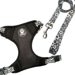 CONJUNTO PECHERA H + CORREA N2 FLORES BLANCAS