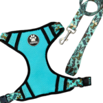 CONJUNTO PECHERA H + CORREA N2 GRAFITTI CELESTE