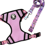 CONJUNTO PECHERA H + CORREA N2 GRAFITTI ROSA