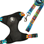 CONJUNTO PECHERA H + CORREA N2 HISTORIETA