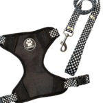 CONJUNTO PECHERA H + CORREA N2 CUADRILLE