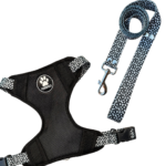 CONJUNTO PECHERA H + CORREA N2 ANIMAL PRINT BLACK