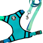 CONJUNTO PECHERA H + CORREA N2 DEGRADE VERDE