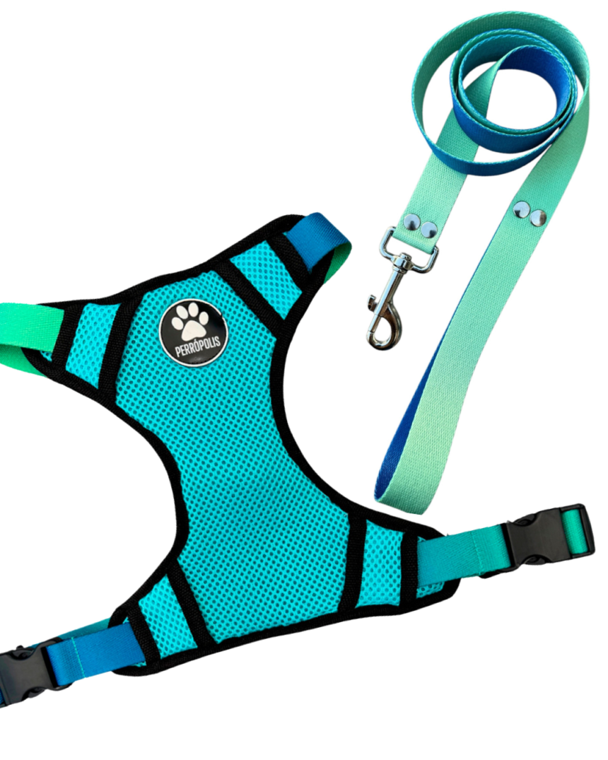 Taste Paradise | Paradise Group