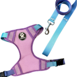 CONJUNTO PECHERA H + CORREA N2 DEGRADE VIOLETA