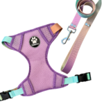 CONJUNTO PECHERA H + CORREA N2 DEGRADE PASTEL