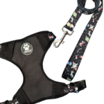 CONJUNTO PECHERA H + CORREA N2 ESPACIO