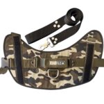 CONJUNTO PECHERA TACTICA GREEN+ CORREA