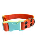 collar de perro regulable, collar de perro, collares para perro, fabricantes de accesorios para mascotas