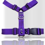 Pretal tipo H vs. Pretal tipo Y: ¿cuál te conviene vender en tu petshop o veterinaria?