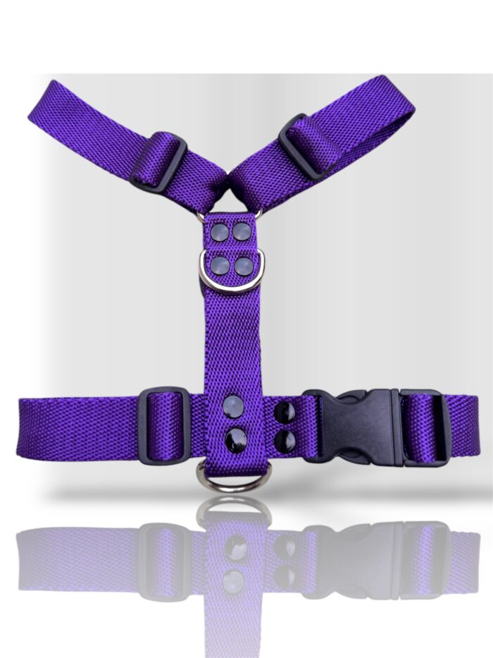 pretal para perro, pretal H, pretal h para perro