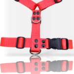 pretal para perro, pretal H, pretal h para perro