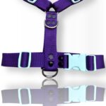 pretal para perro, pretal H, pretal h para perro