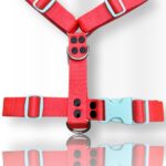 pretal para perro, pretal H, pretal h para perro