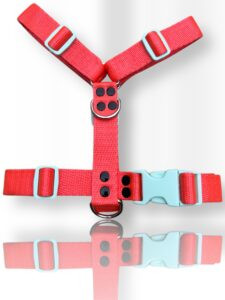 pretal para perro, pretal H, pretal h para perro